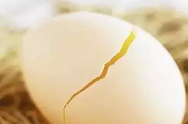 吃蛋的十大好处,种蛋营养价值及功效