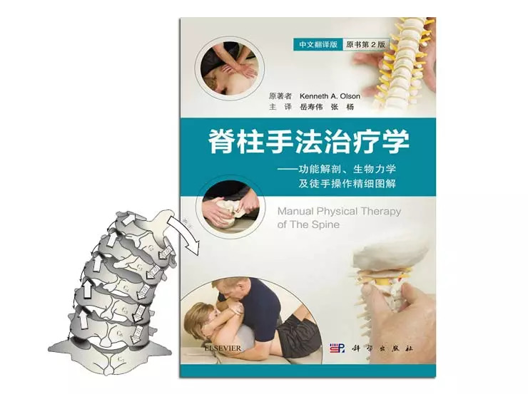 脊柱推拿的理论与实践,实用脊柱推拿学