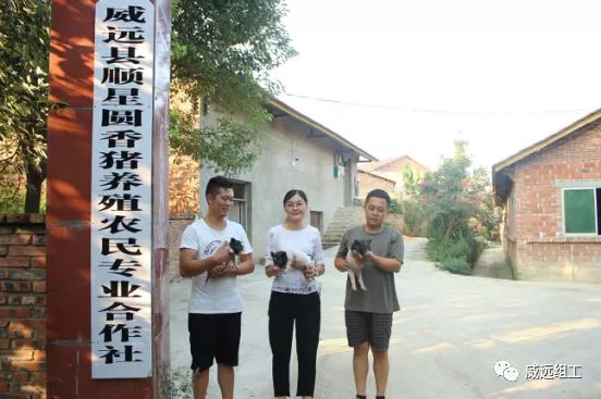 猪肉里的“名门贵族”，你吃过吗？威远这个村就有