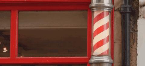 很血腥猎奇的三部纪录片,比较血腥的纪录片