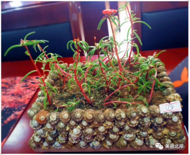 巧手生花手工,巧手生花创意作品