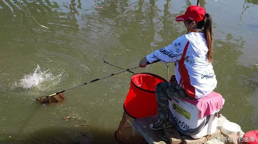 如何挑选一款好鱼竿,怎么挑选一款合适的鱼竿
