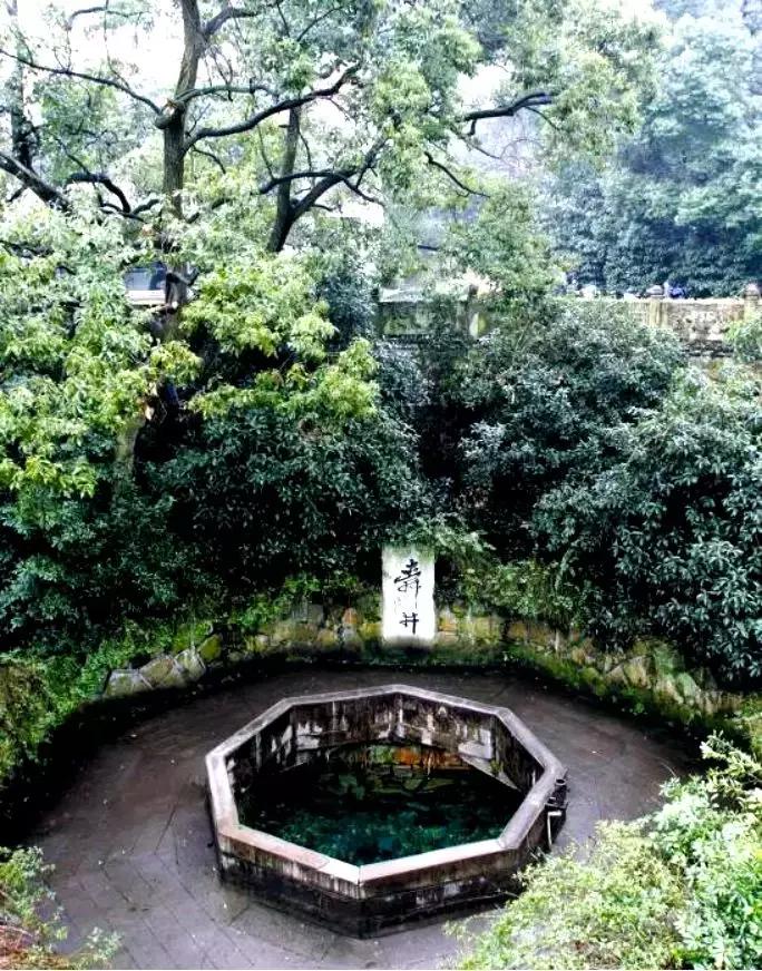 闯太猛的公司很难活得久！卧龙电气干了几十年电机咋不爱做地产？