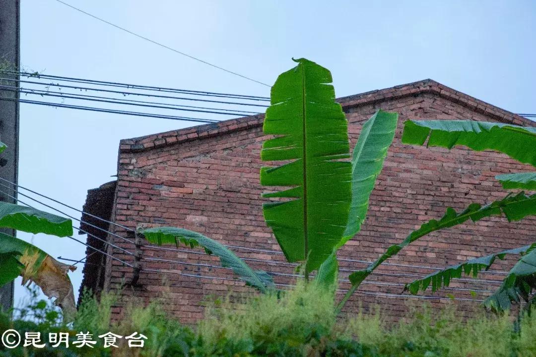 藏在昆明老厂房里的柴火鸡，一款酱料价值百万，连续排队5年
