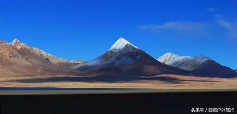 为什么阿里叫阿里地区,为什么阿里被称为拳王