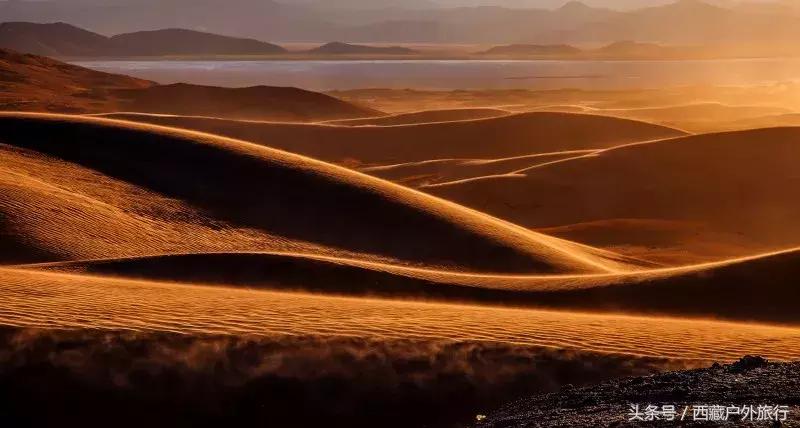 为什么阿里叫阿里地区,为什么阿里被称为拳王