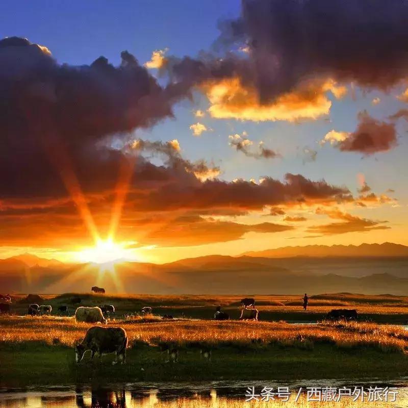 为什么阿里叫阿里地区,为什么阿里被称为拳王