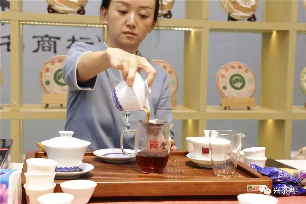 品牌升级焕新而来,福海茶厂高端熟茶产品