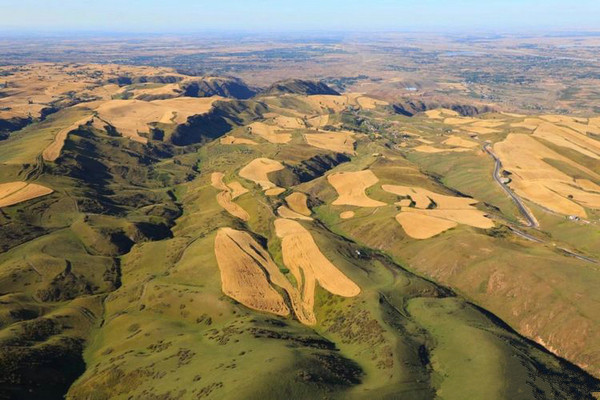 江布拉克的美景描述,风吹麦浪风景视频