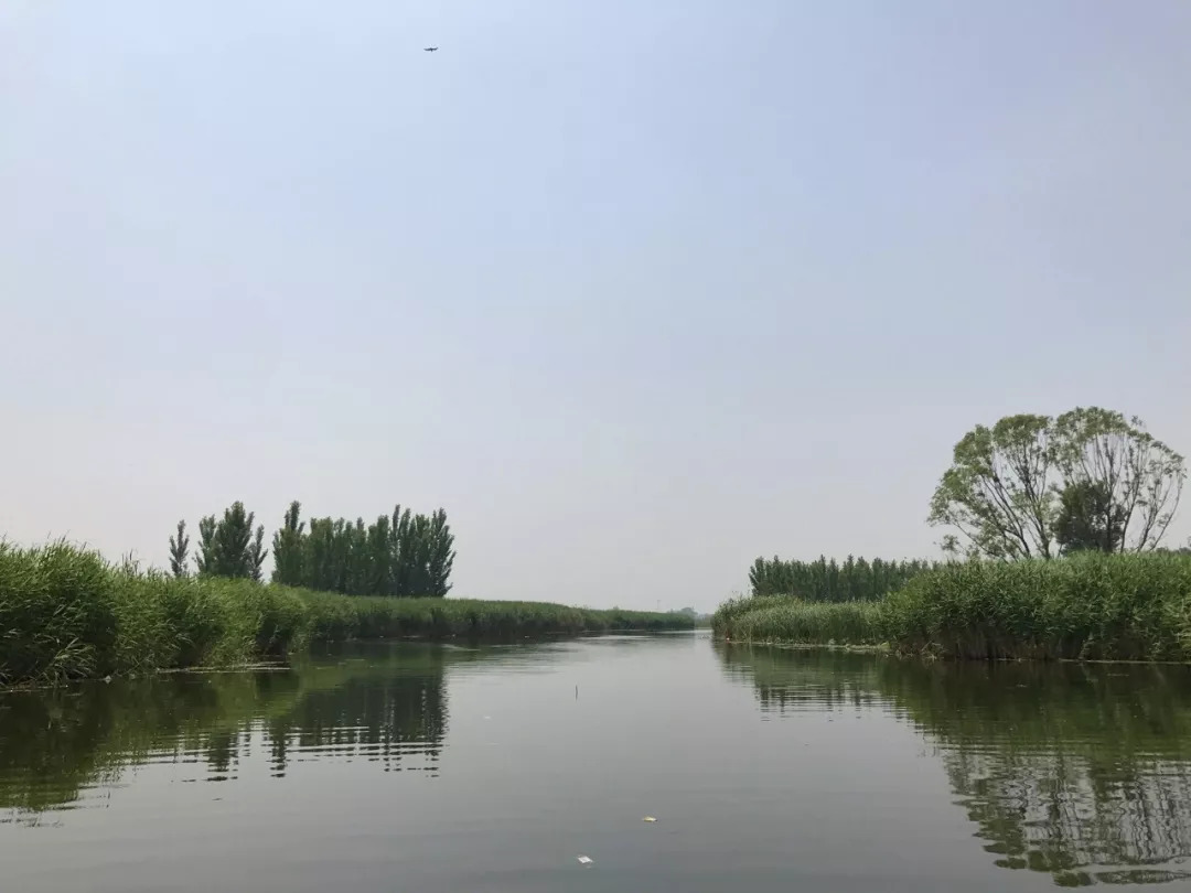 下站该往哪里去,下站了该去哪