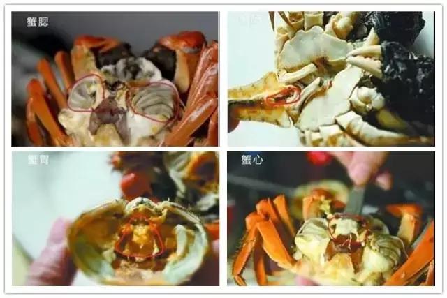 汕头人一般在哪吃海鲜,汕头人喜欢吃的海鲜