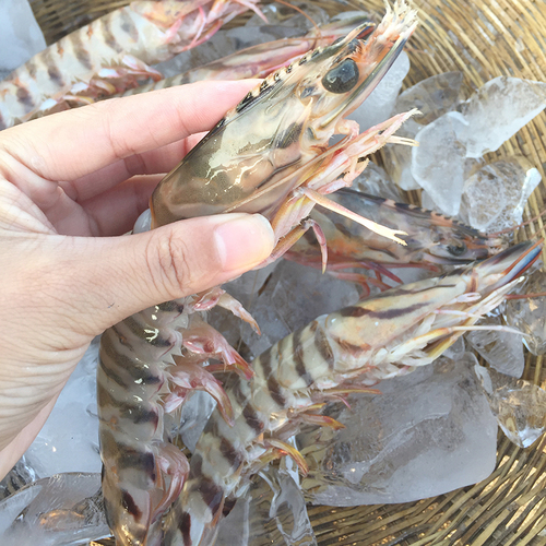 中秋佳节送礼就送精品大闸蟹,中秋节送大闸蟹礼券活动