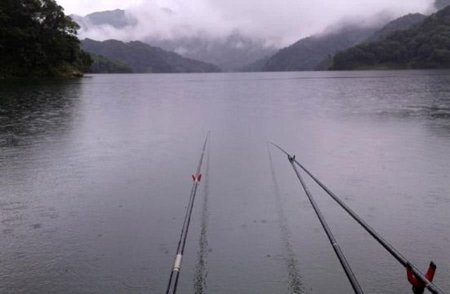 钓鲤鱼新鲜玉米好还是发酵玉米好,钓鲤鱼挂玉米粒的正确方法视频