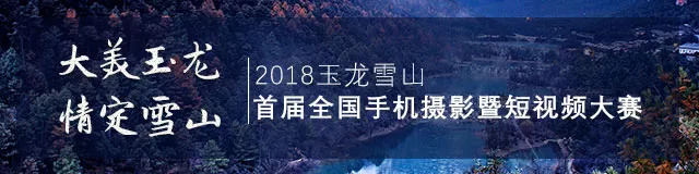 云南飞虎足球最新消息,云南飞虎