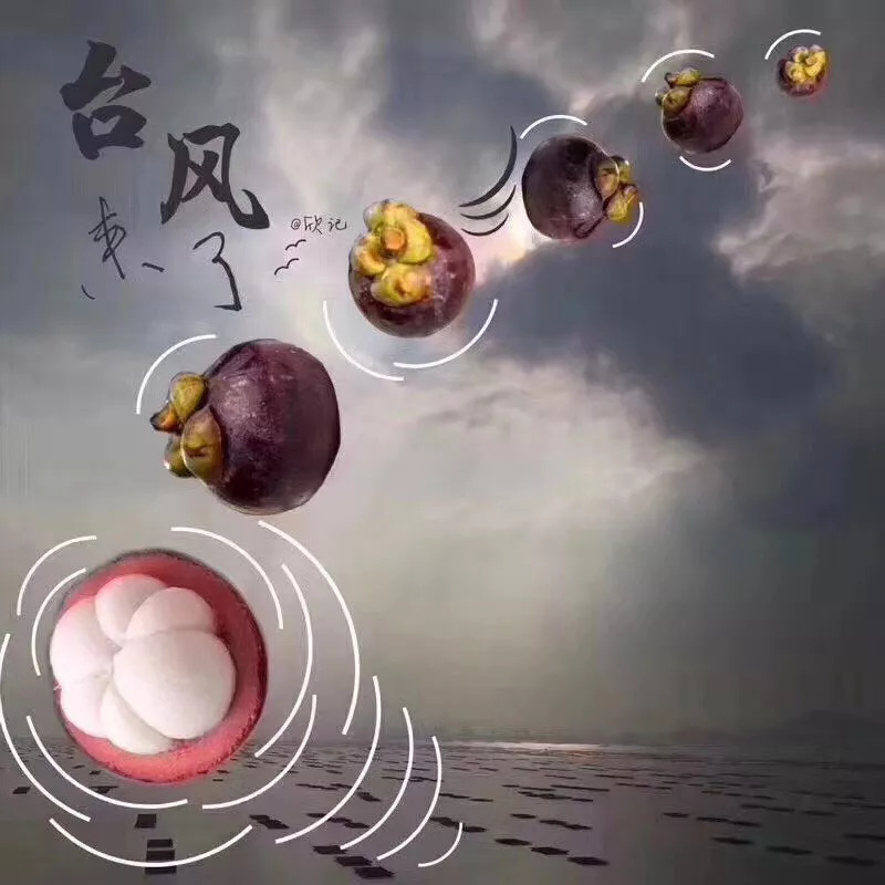 山竹登陆首日自救辟谣与全城戒备,风王山竹什么时候停运