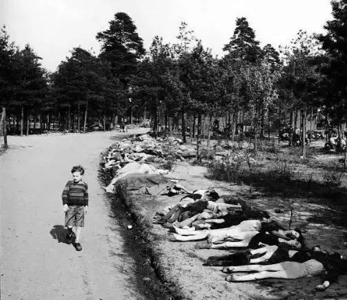 这位中国妇女被欧洲人称为“圣母”被誉为“比利时的辛德勒”