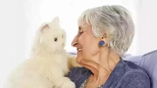 人们为什么瞧不起土猫?「科瑞卡科普」