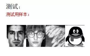 如何看懂PCA主成分分析图,pca主成分分析具体过程