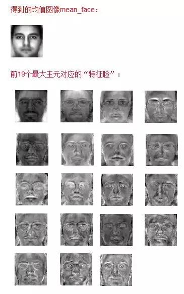 如何看懂PCA主成分分析图,pca主成分分析具体过程