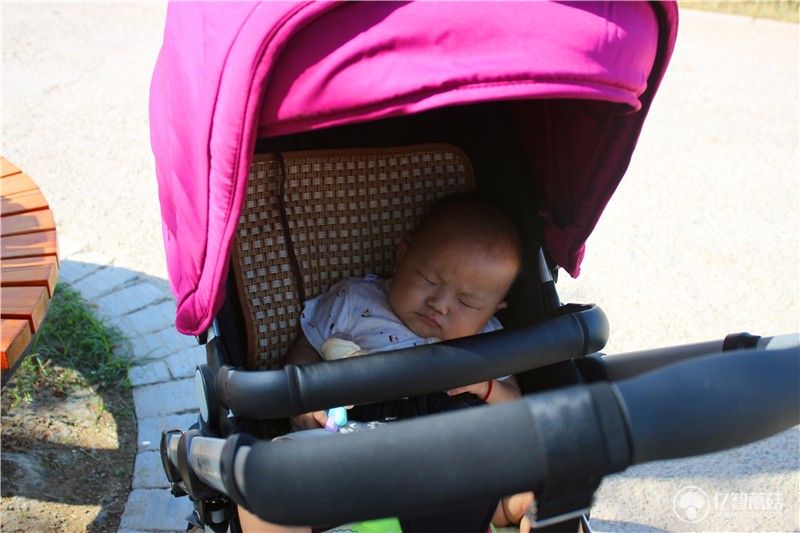 轻便高景观婴儿推车最强测评,高景观轻便双向婴儿推车推荐