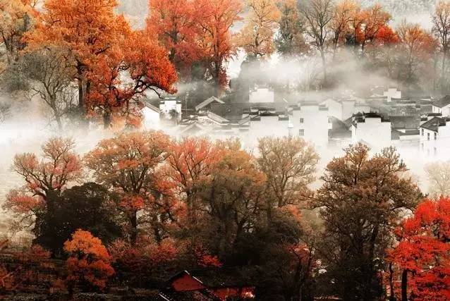 秋天的婺源篁岭,秋天的婺源有什么