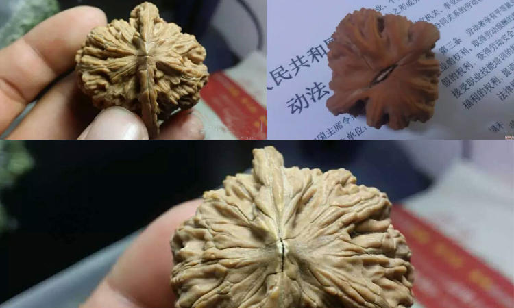 赢得了赌局却输了自来也,赢得了胜利却输给了别人