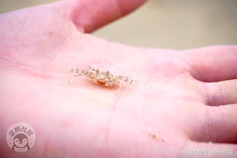 泰国小众岛屿沙美岛,泰国小众岛屿日落