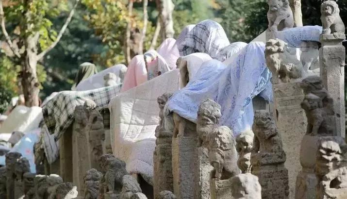 西安各个高校雕塑,高校奇葩雕像