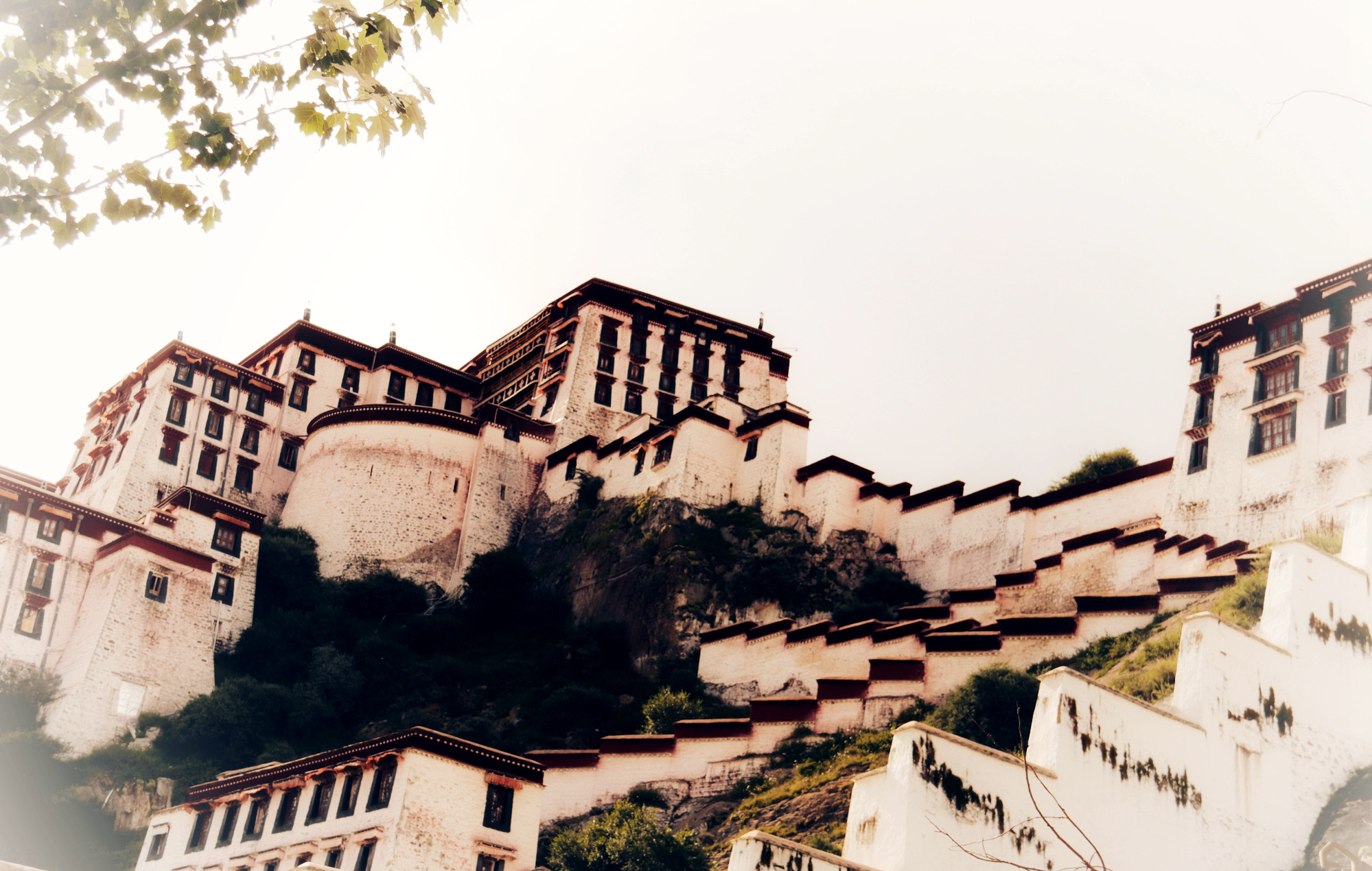 虔诚的心朝圣的路,虔诚的心信仰的力量