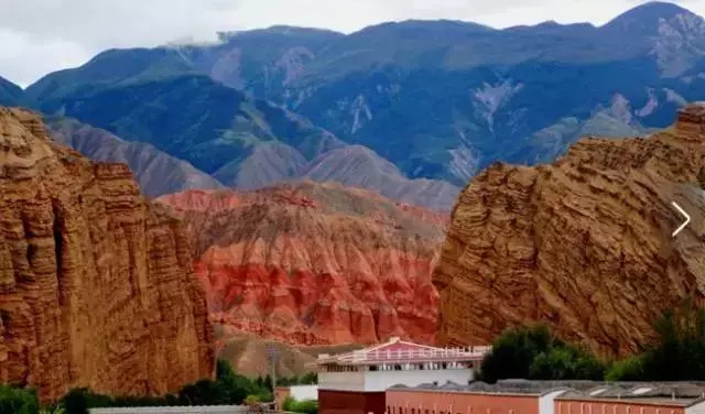 青海十大怪事完整视频,青海十大怪树