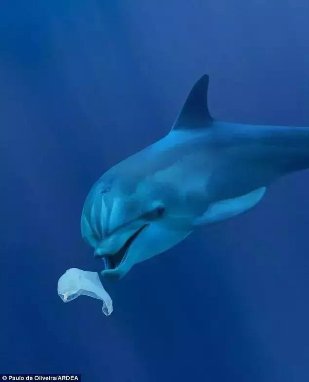 外卖正在毁灭下一代,外卖正在毁灭我们的下一代原文