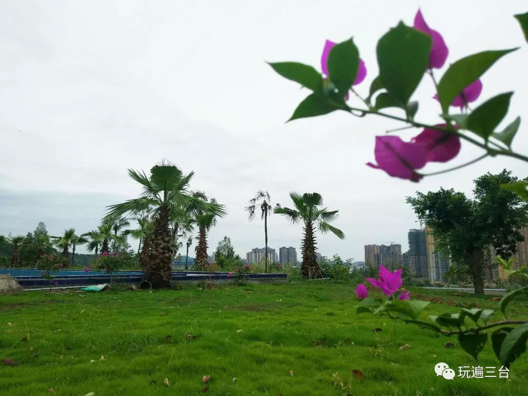 发现丨一江收眼底，意趣味不尽，匠心独运又妙趣天成——海东方文创园