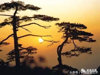 云中松——仰观天宇，俯察尘寰