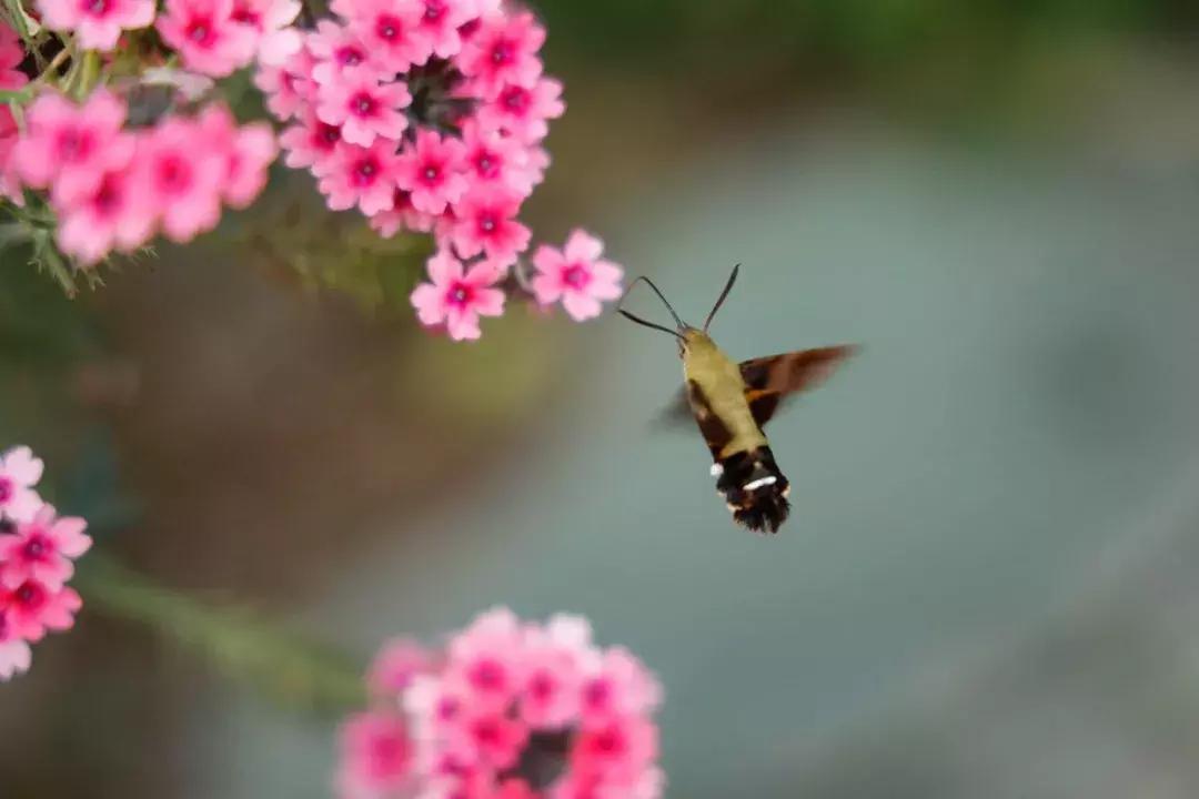 转接环如同原生操控性基因强大佳能EOSR初步评测