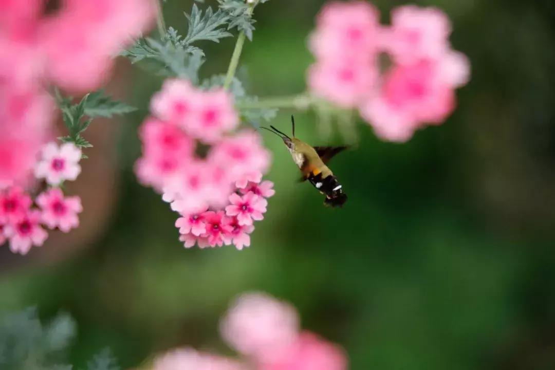 转接环如同原生操控性基因强大佳能EOSR初步评测