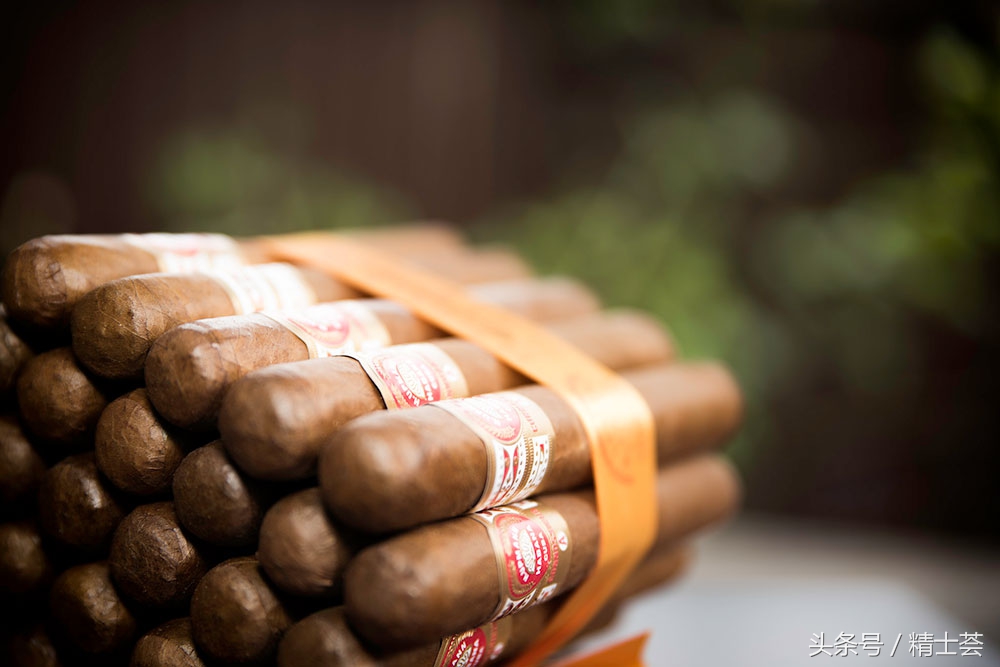 雪茄的基本知识大全,雪茄知识普及