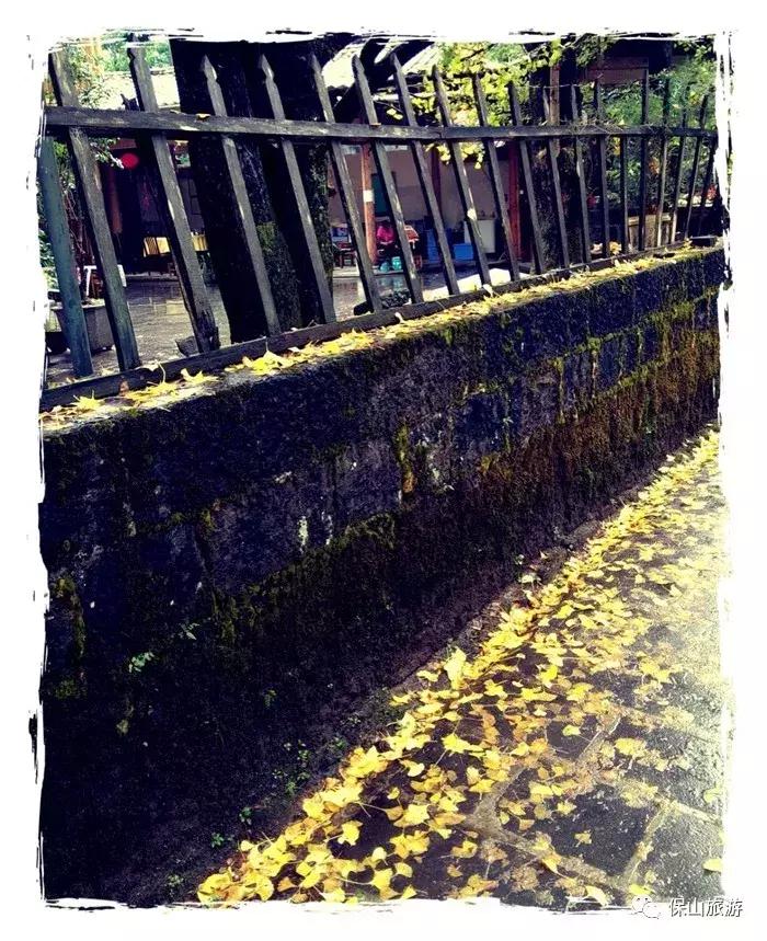 银杏村是个什么样的村落？它的美可以让人摒弃浮躁忘却烦恼