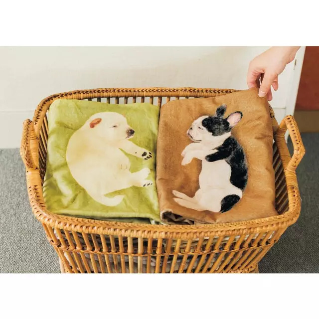 日本人家里东西太多,日本必备10种东西