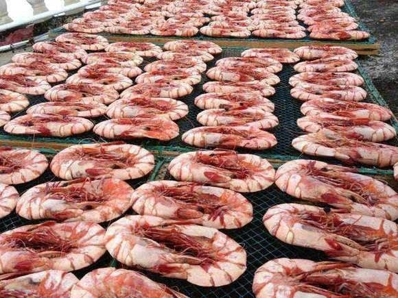 山东哪的海鲜最好吃,山东海边好吃的海鲜