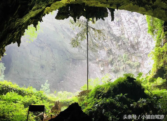 广东游客探索广西巴马长寿之乡,广西巴马长寿之乡环境怎么样