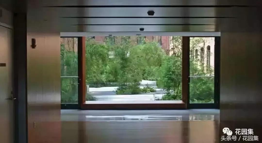 庭院栽什么树风水好,庭院最好的风水布局