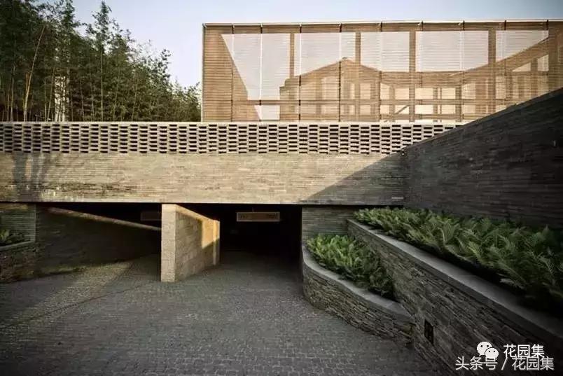 庭院栽什么树风水好,庭院最好的风水布局