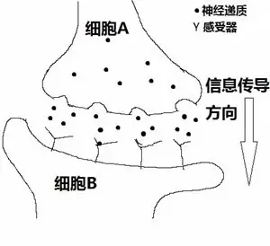 为什么毒贩都不要命,为什么毒品这么难戒亲身经历