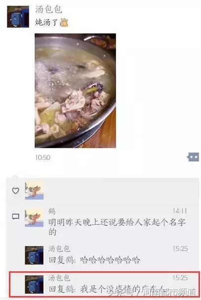 没有感情的广东人！台风天救起的乌龟，第二天就炖汤啦？