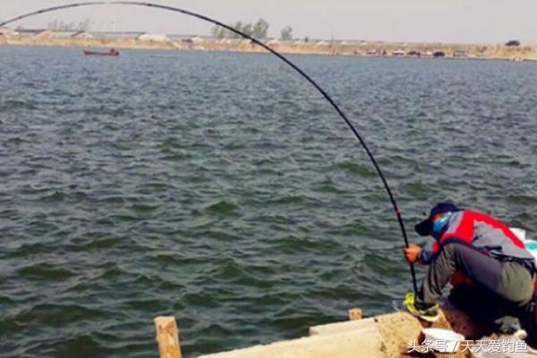 细线遛鲤鱼技巧,三个大招