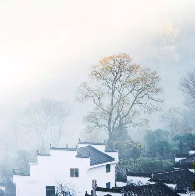 婺源10月,10-11月的婺源