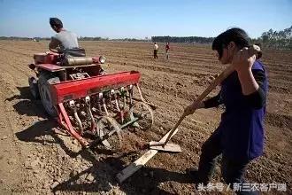 小麦种植用什么牌子肥料最好,小麦底肥用小麦专用肥可以吗