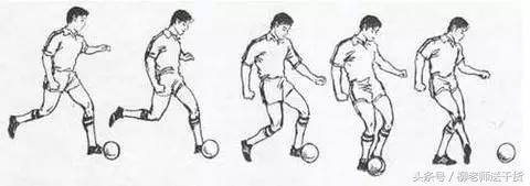 特岗教师教育心理学知识点,2019教师招聘教育学心理学