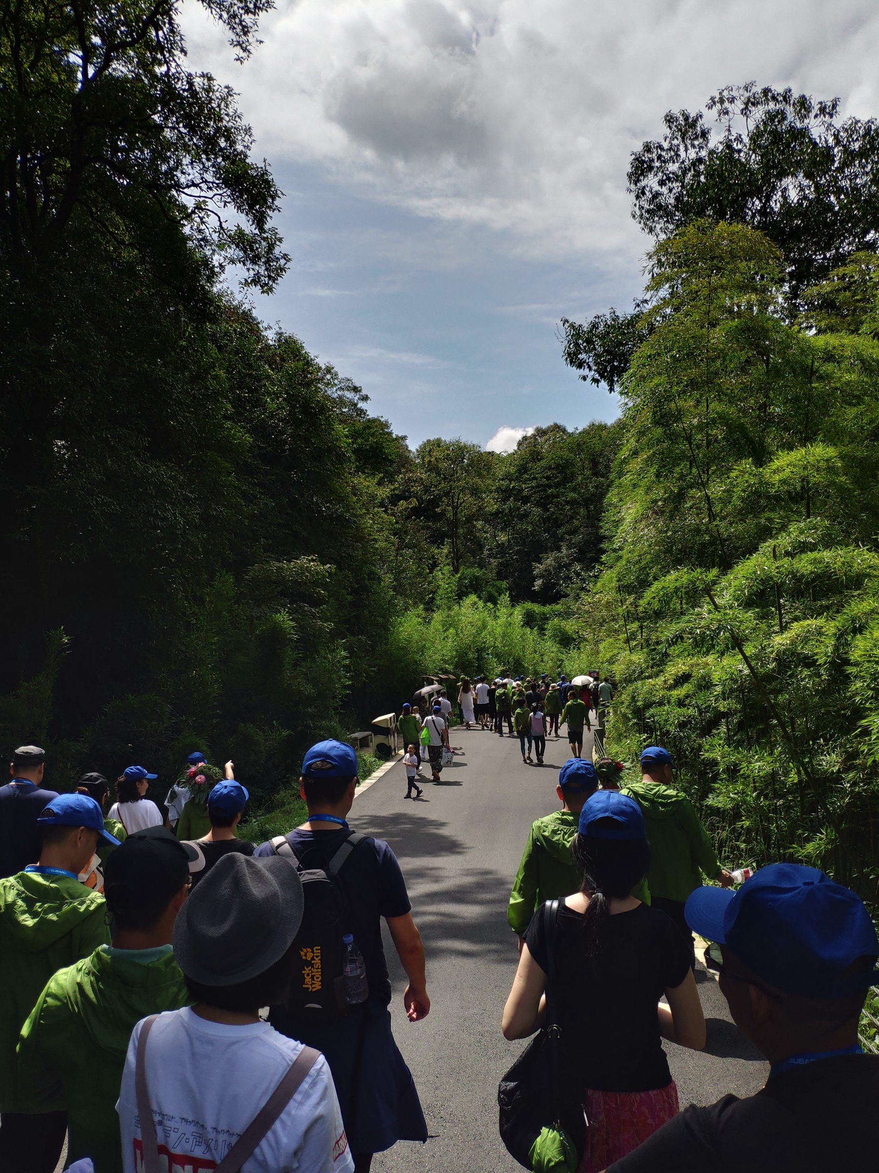 斯巴鲁为什么大家都买,斯巴鲁为啥那么多人买