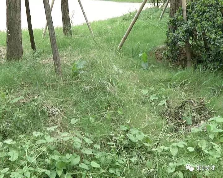 赣州卫生间漏水不砸砖维修,赣州上犹卫生间漏水